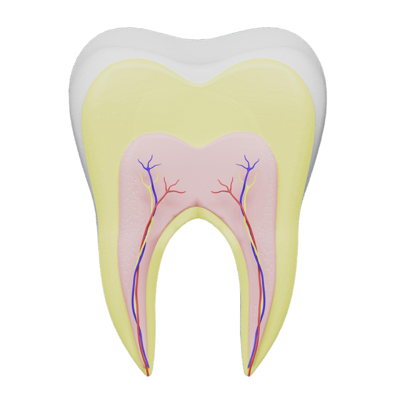 Root Apicoectomy Best Dental Clinic KL | 24 Hours Dental Clinic KL